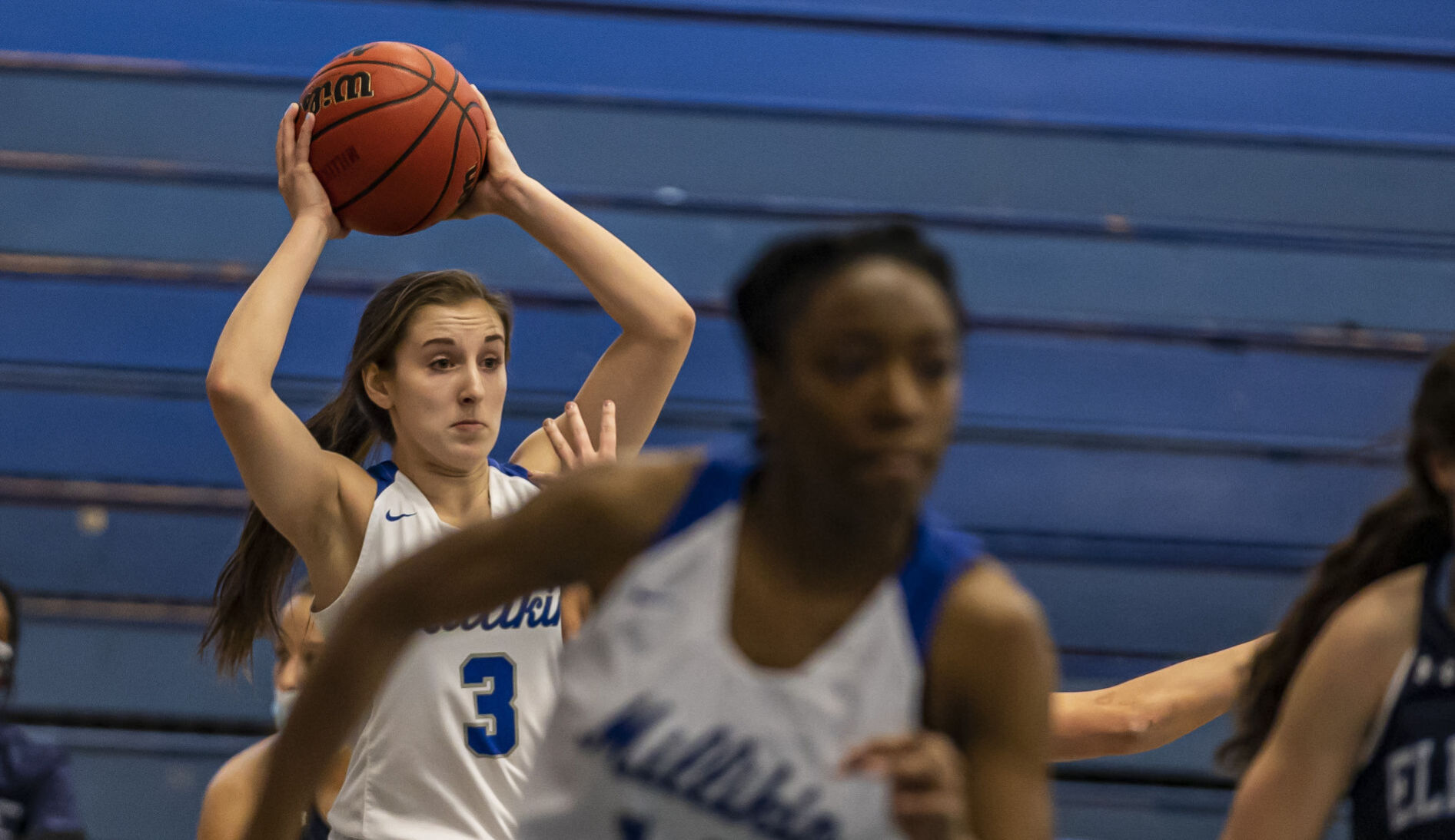 Millikin Elmherst 4 022021.JPG